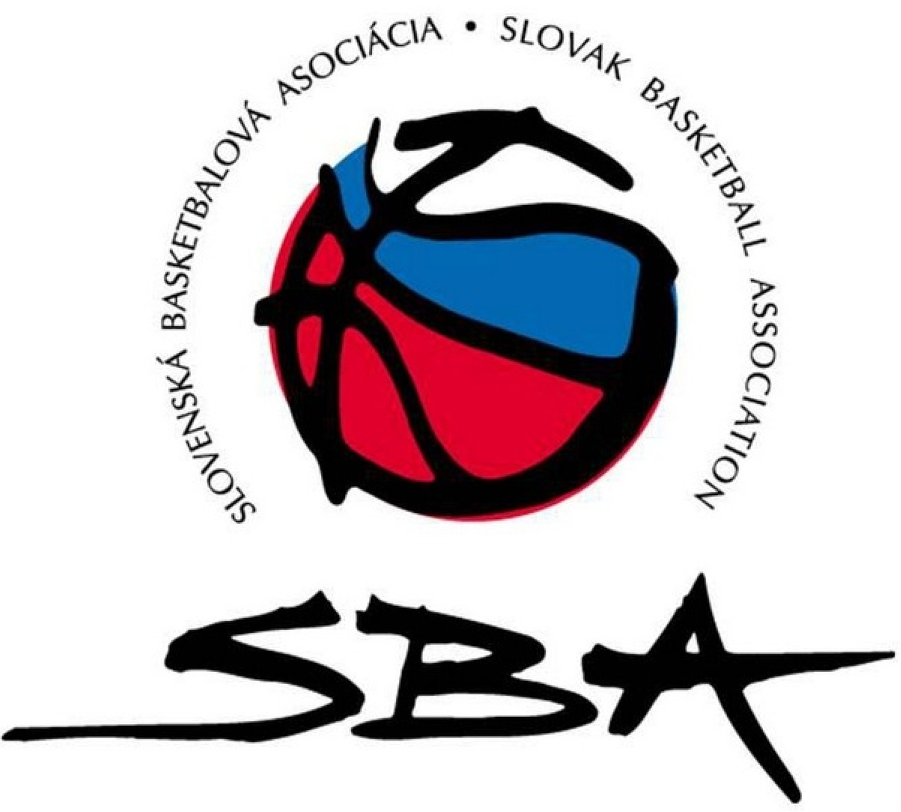 Slovakia 0-Pres Primary Logo iron on transfers for clothing